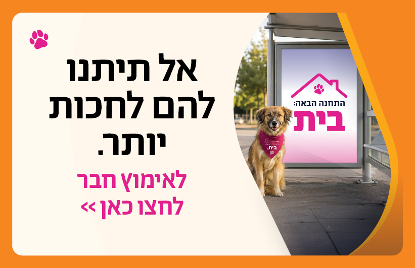 תיאור משחקים